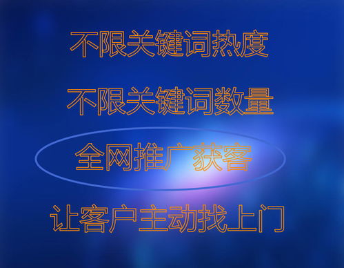 云盟螞蟻?lái)?xiàng)目市場(chǎng)營(yíng)銷策劃方案 創(chuàng)新驅(qū)動(dòng)，精準(zhǔn)觸達(dá)